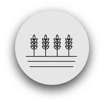 Soil Reclamation for Farming 