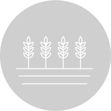 Agriculture Sustainability Agriculture Sustainability